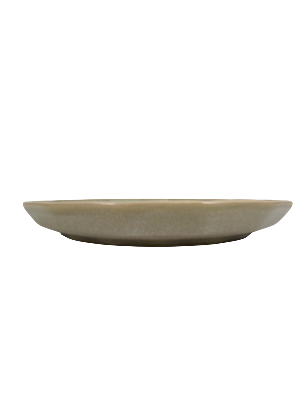 Polygonal Dinner Plate