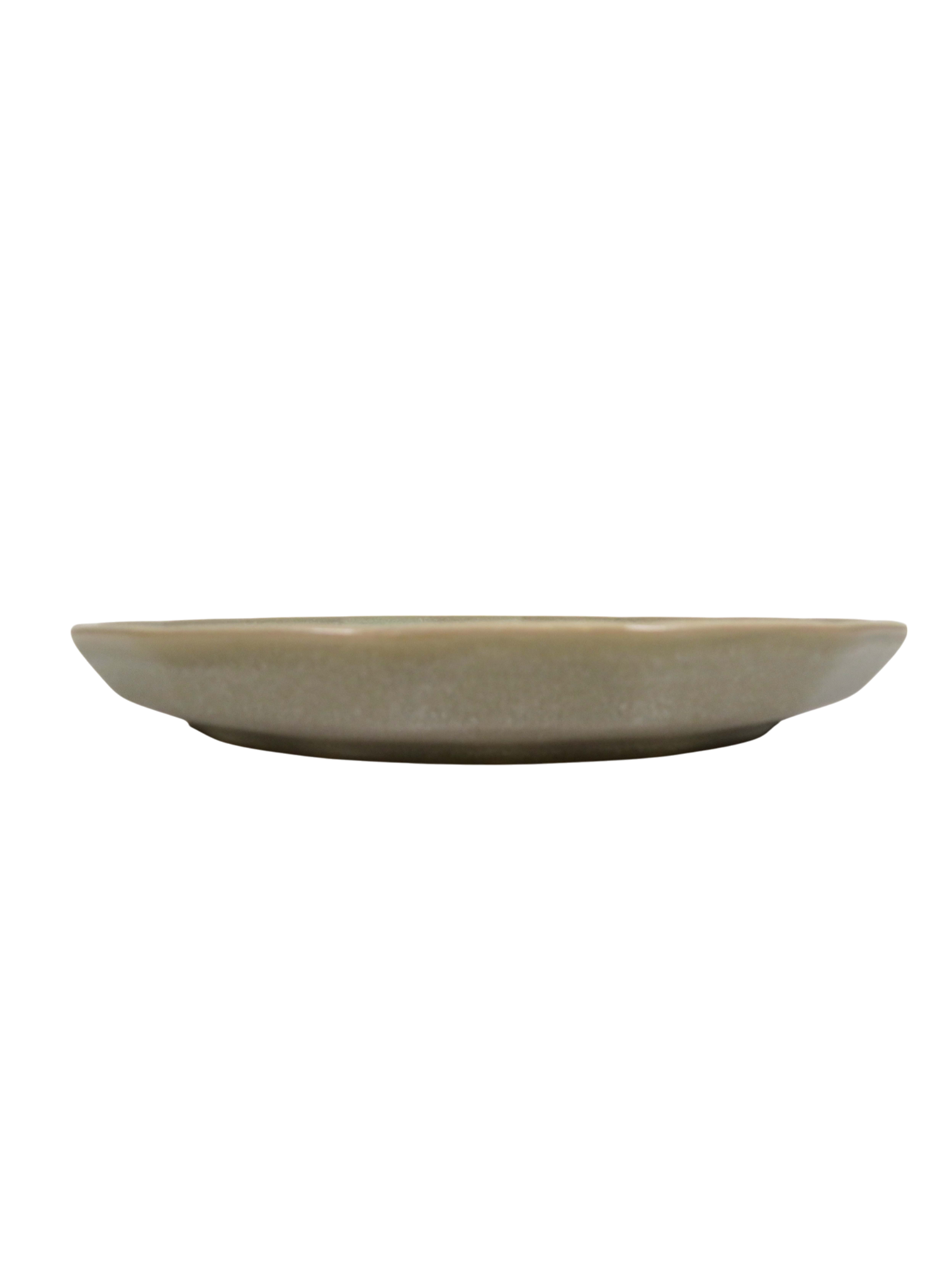 Polygonal Dinner Plate