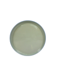 Two-Toned Dinner Plate - Green