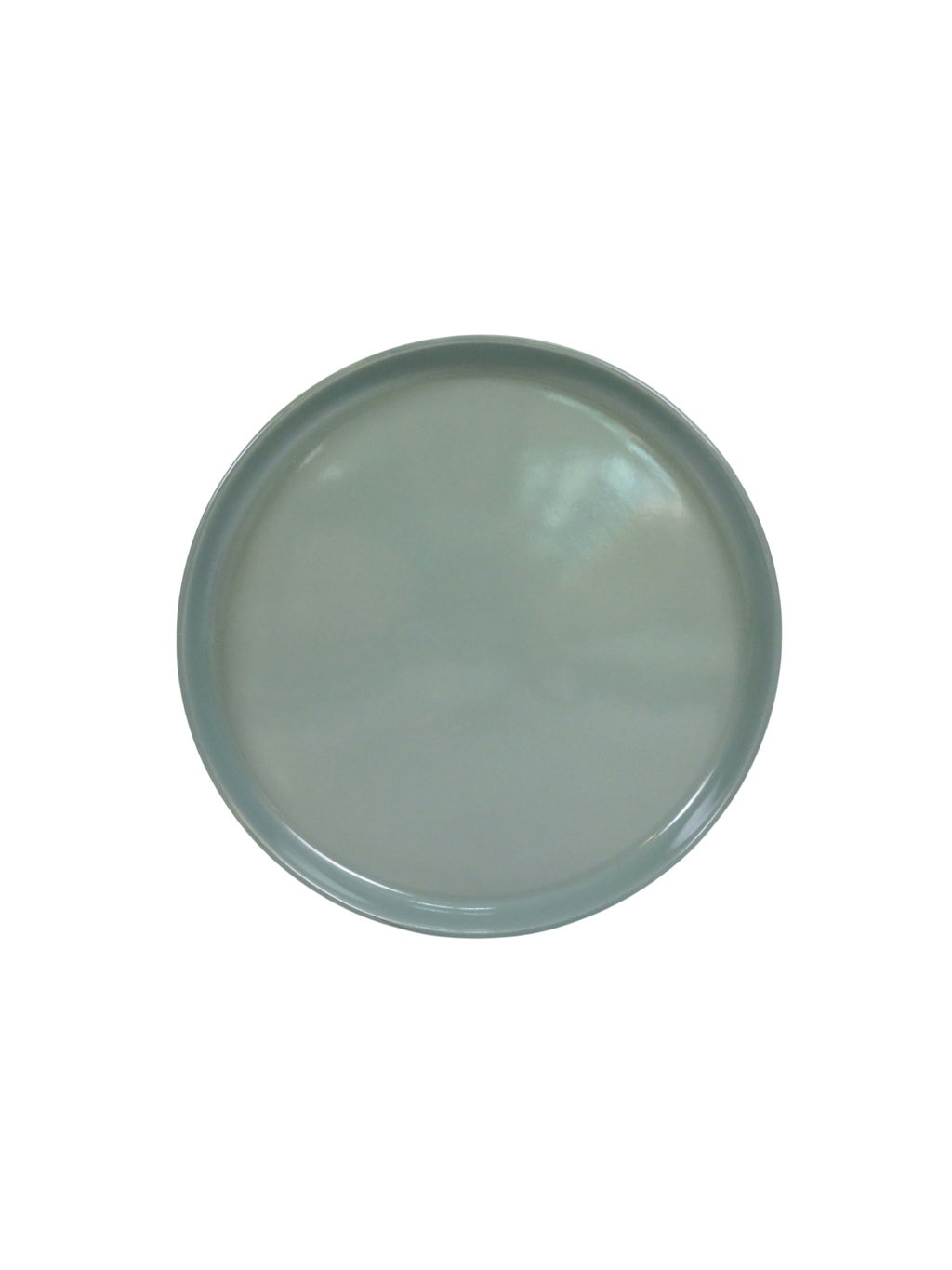 Earth Green Dinner Plate