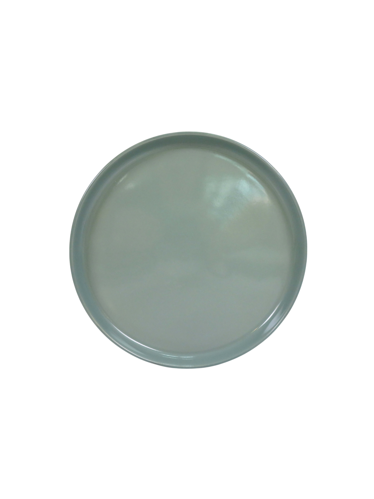 Earth Green Dinner Plate
