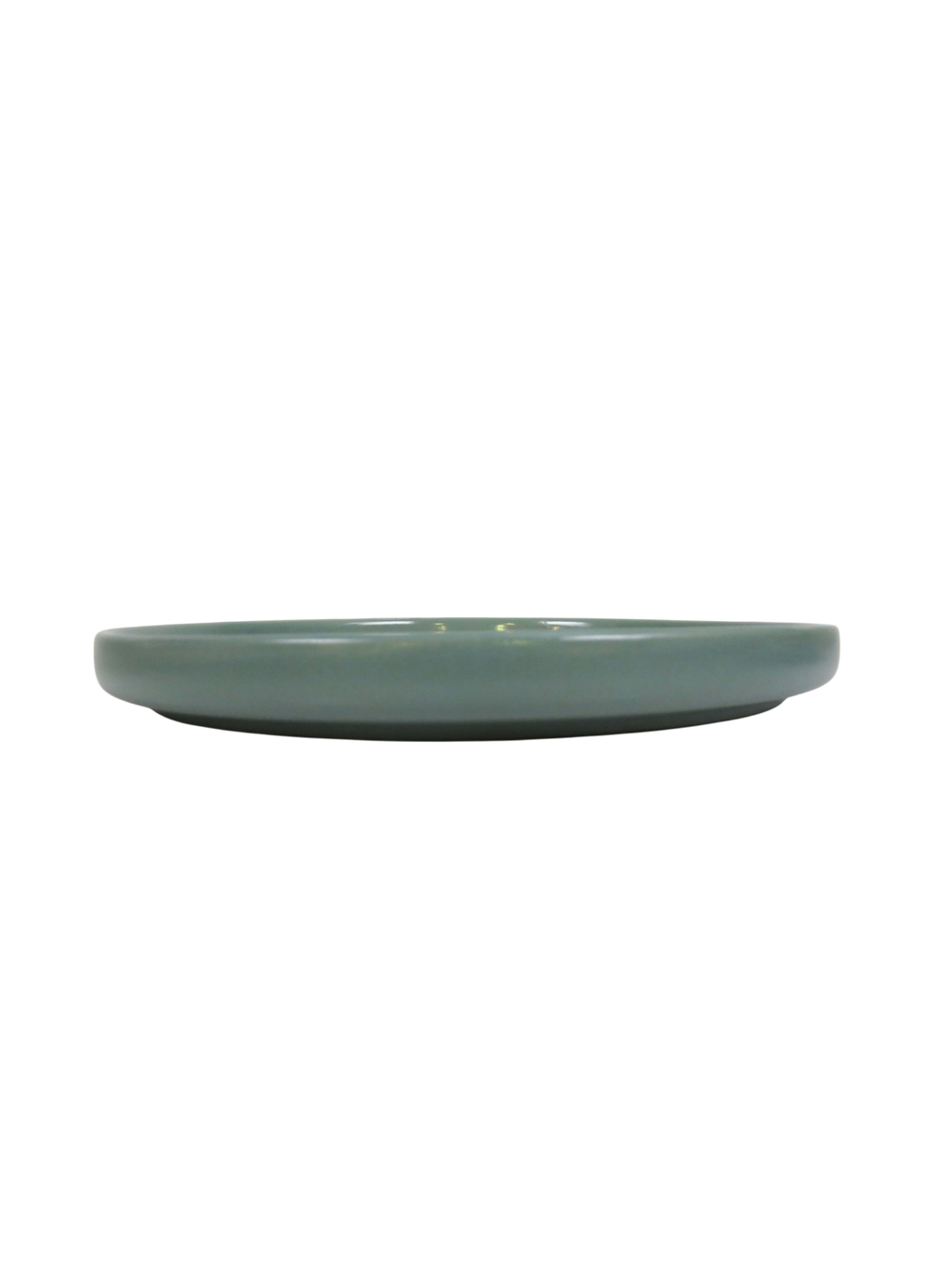Earth Green Dinner Plate