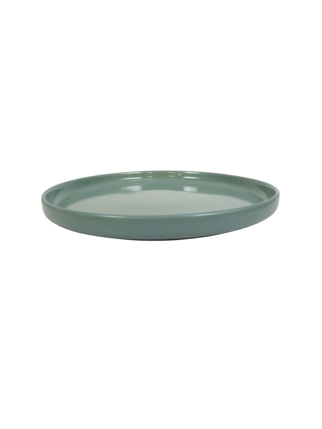 Earth Green Dinner Plate