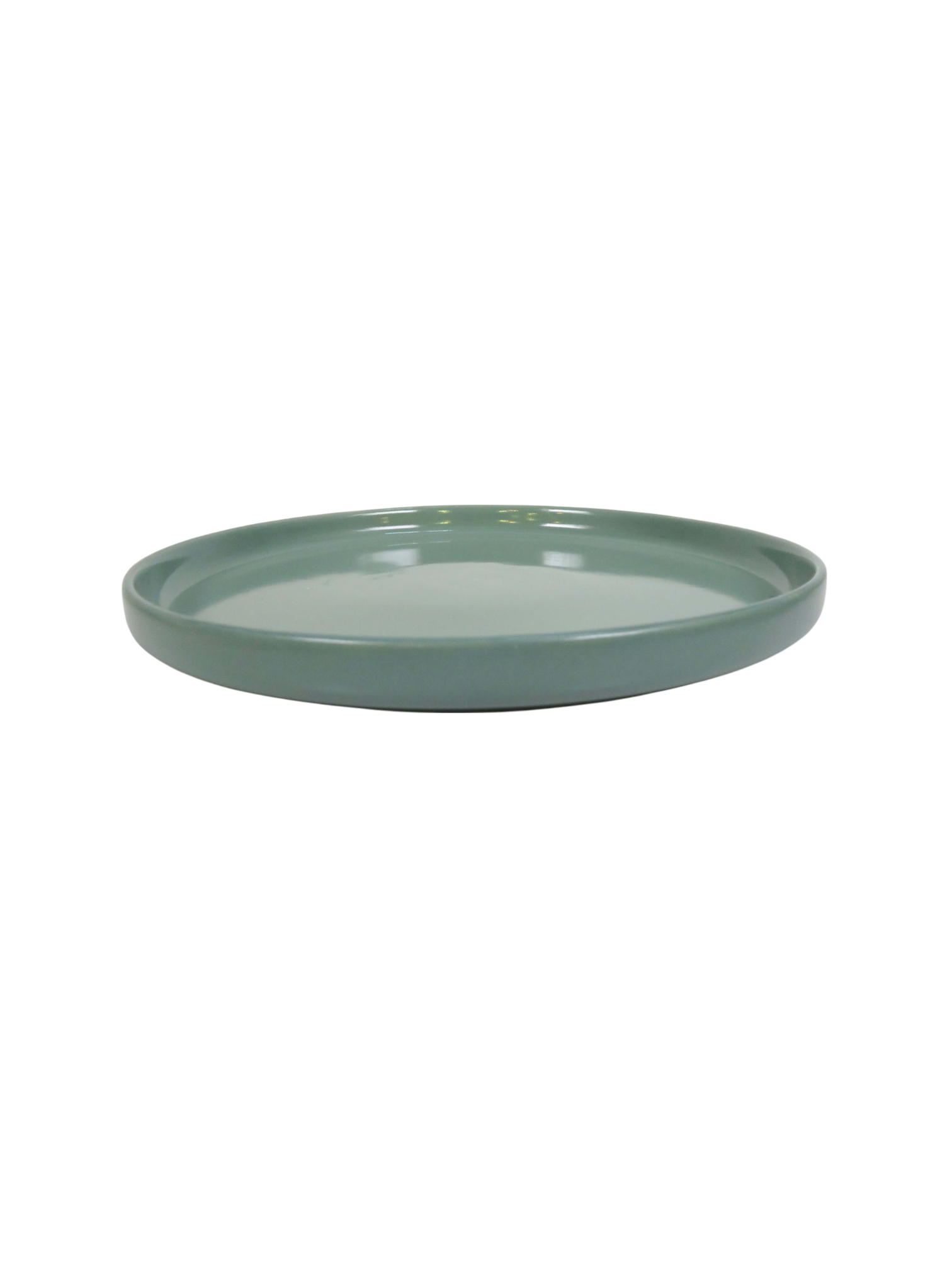 Earth Green Dinner Plate