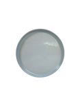 Two-Toned Dinner Plate - Blue