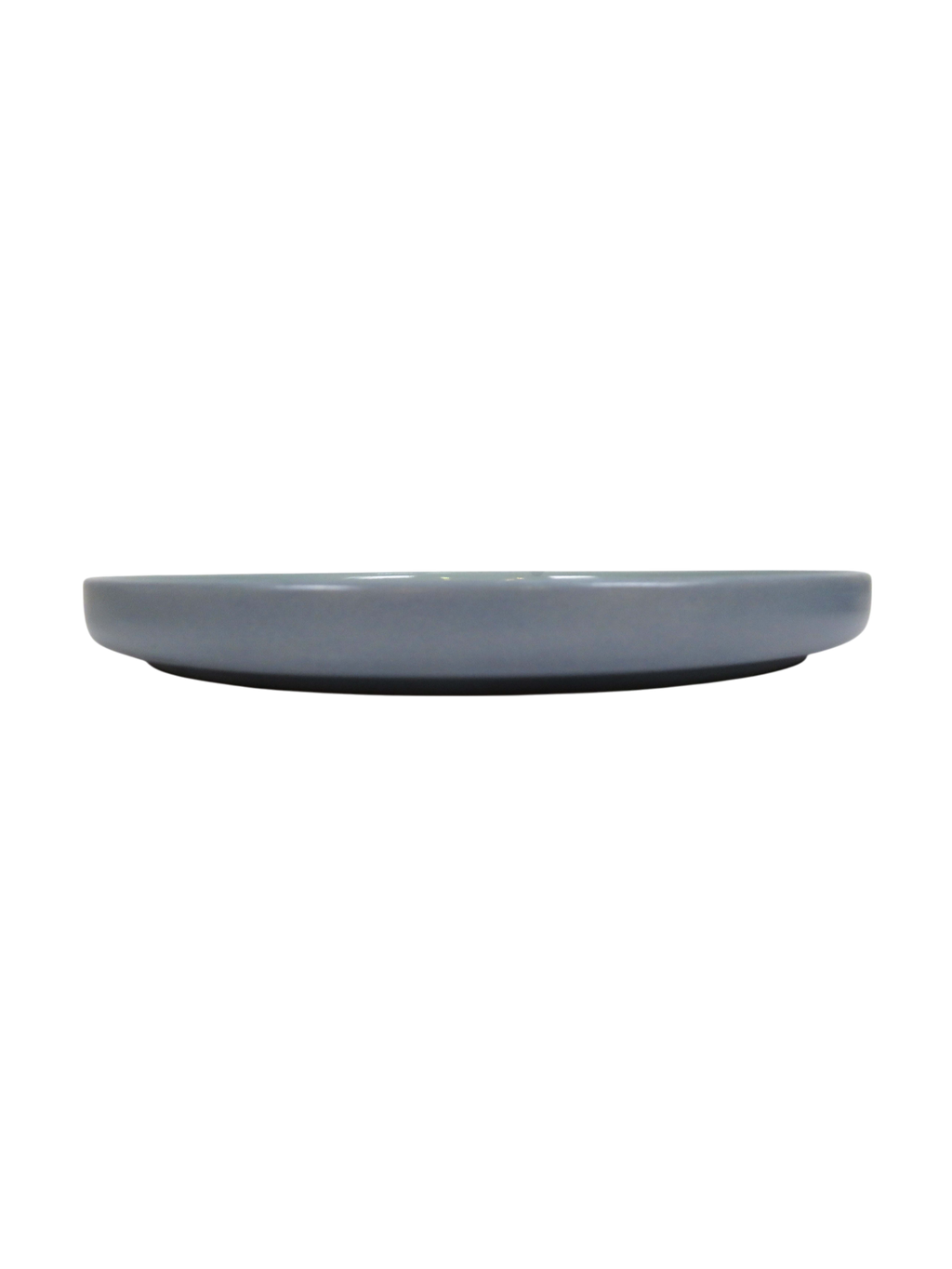 Two-Toned Dinner Plate - Blue