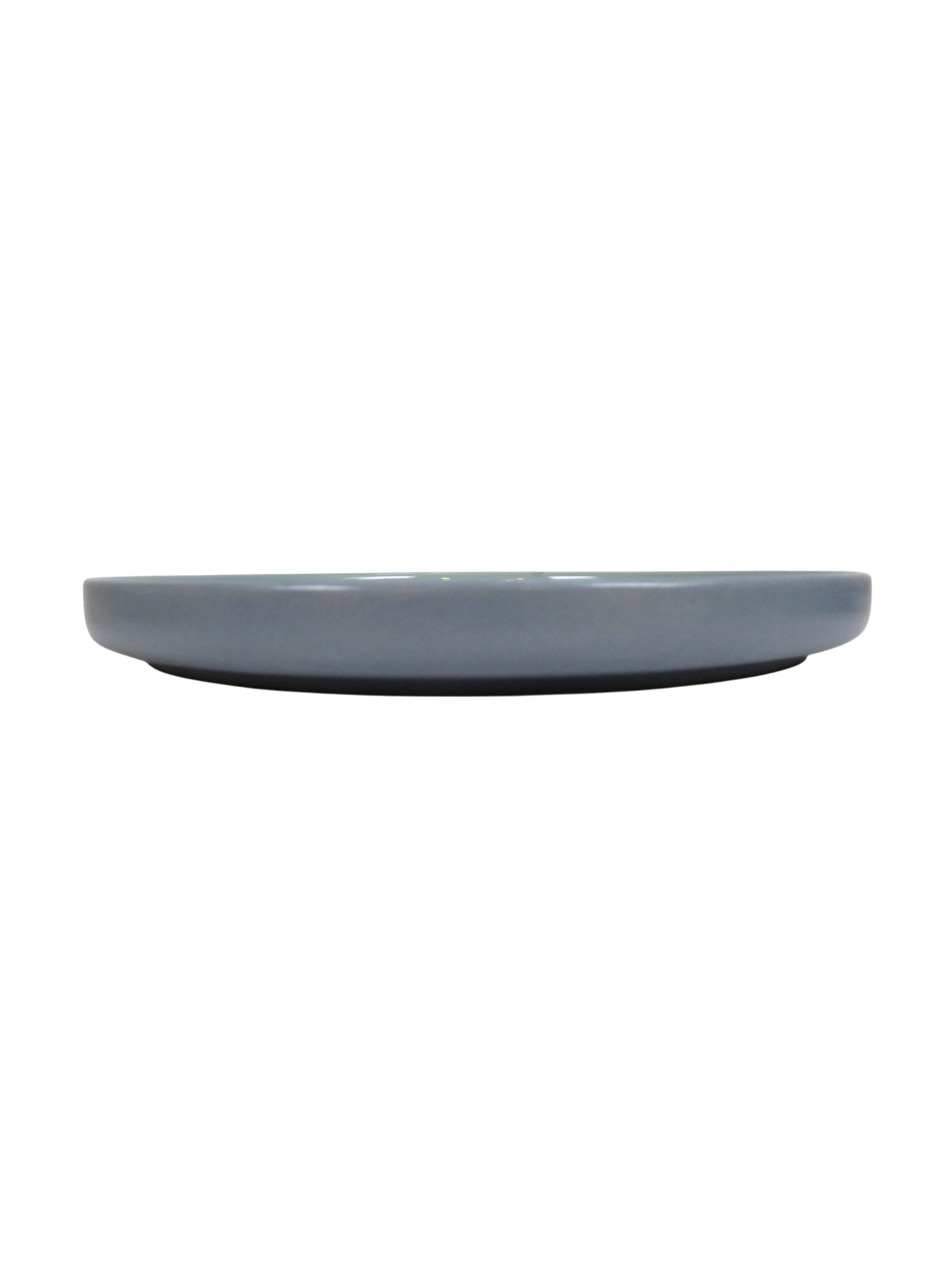 Two-Toned Dinner Plate - Blue