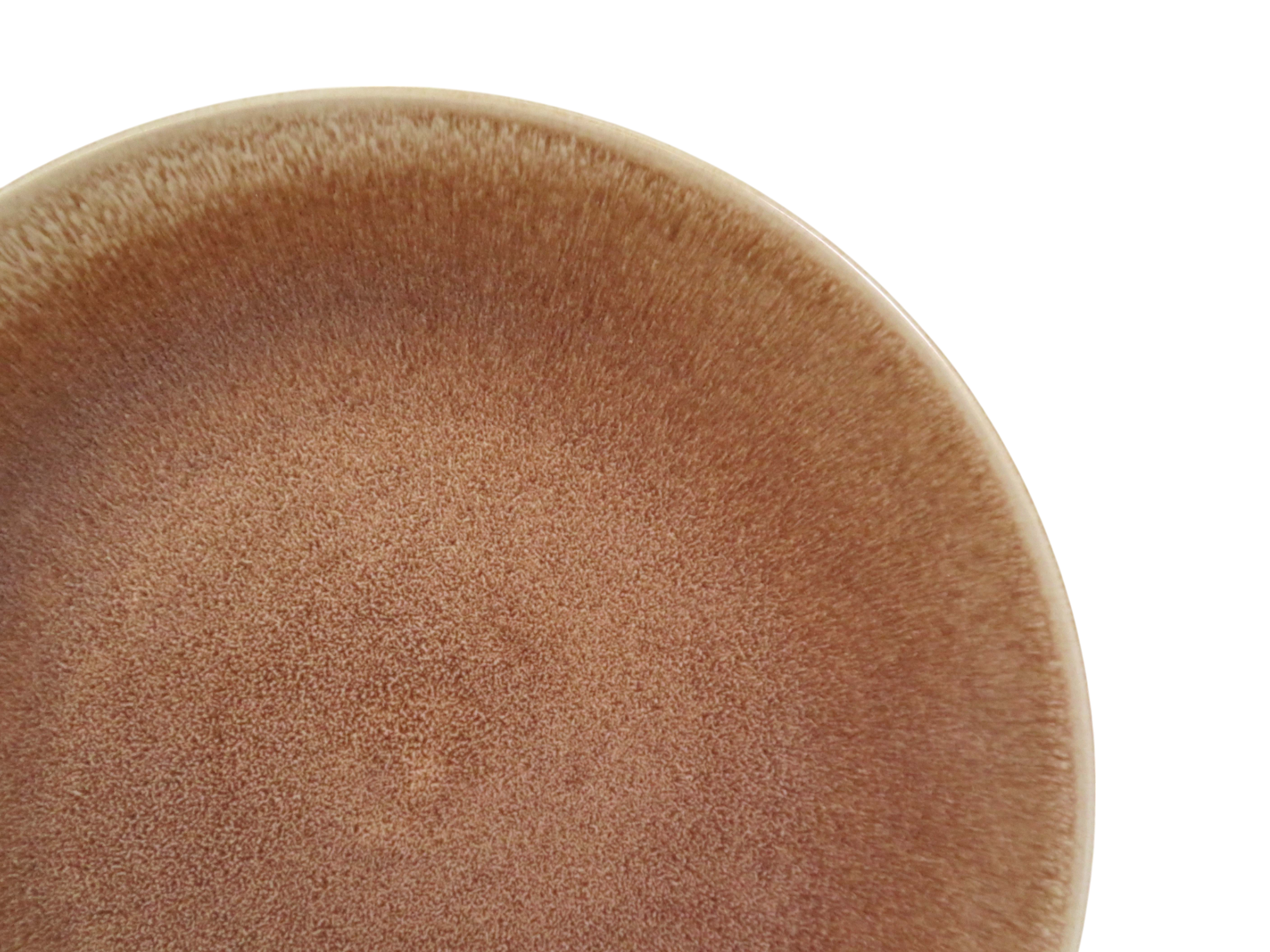 Reactive Glaze Sienna Dinner Plate