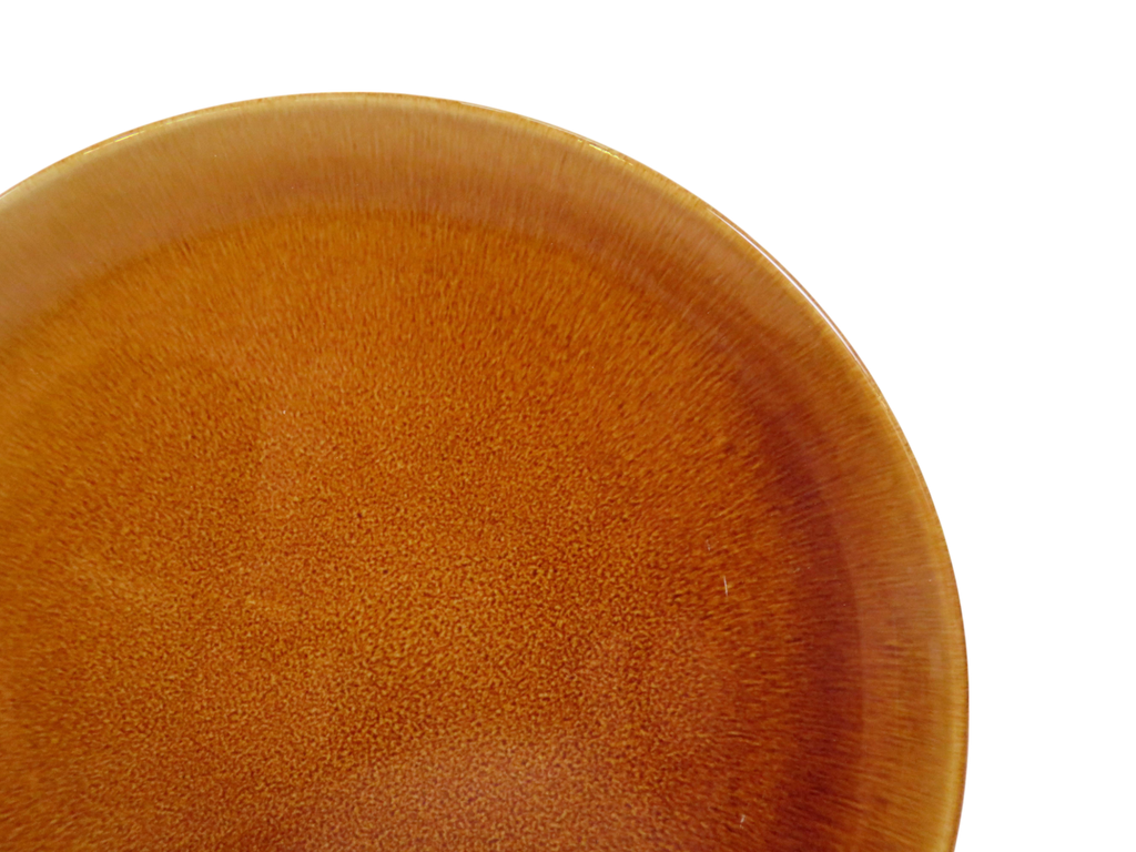 Reactive Glaze Dinner Plate in Orange