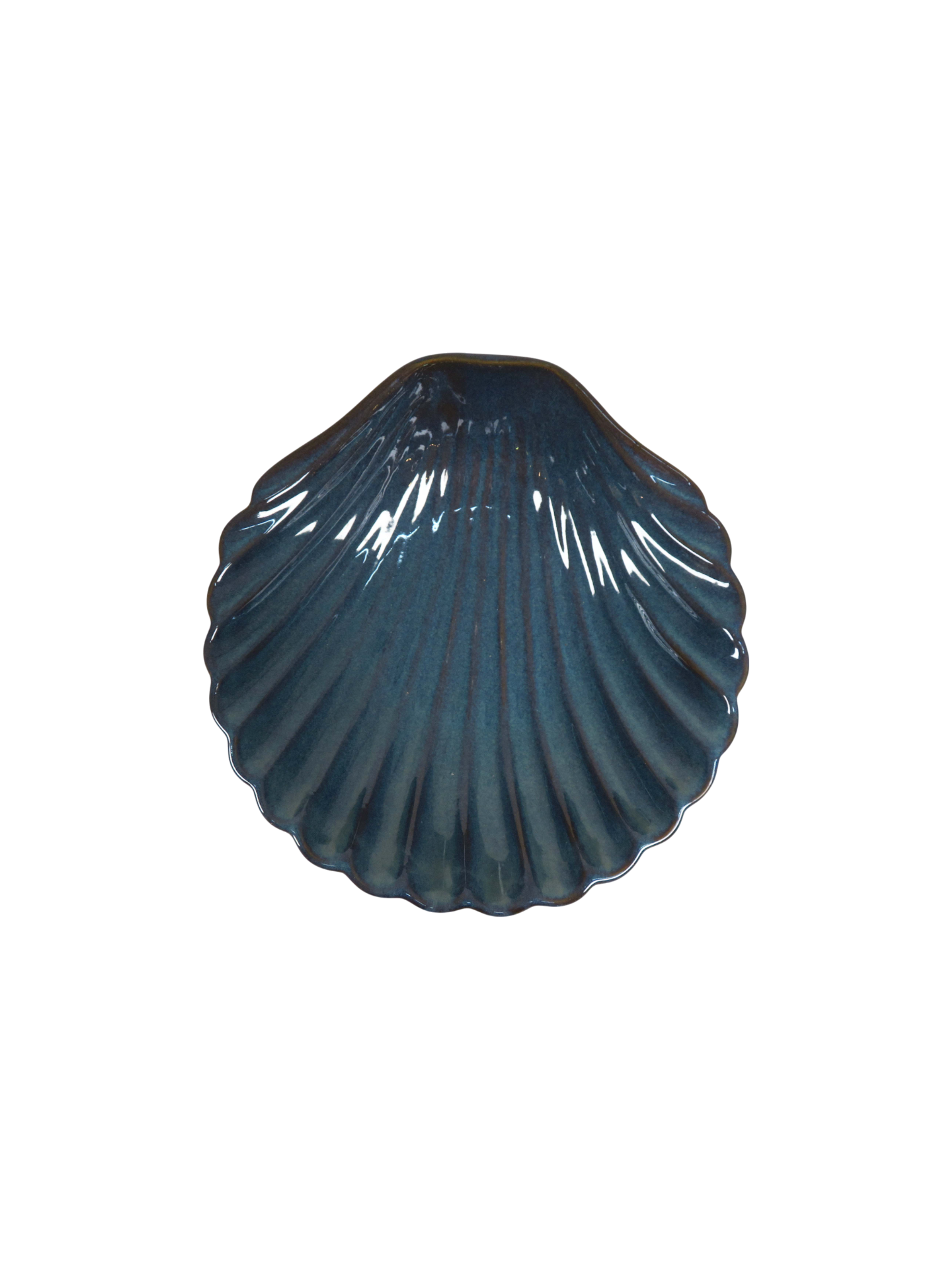 Seashell Plate in Blue