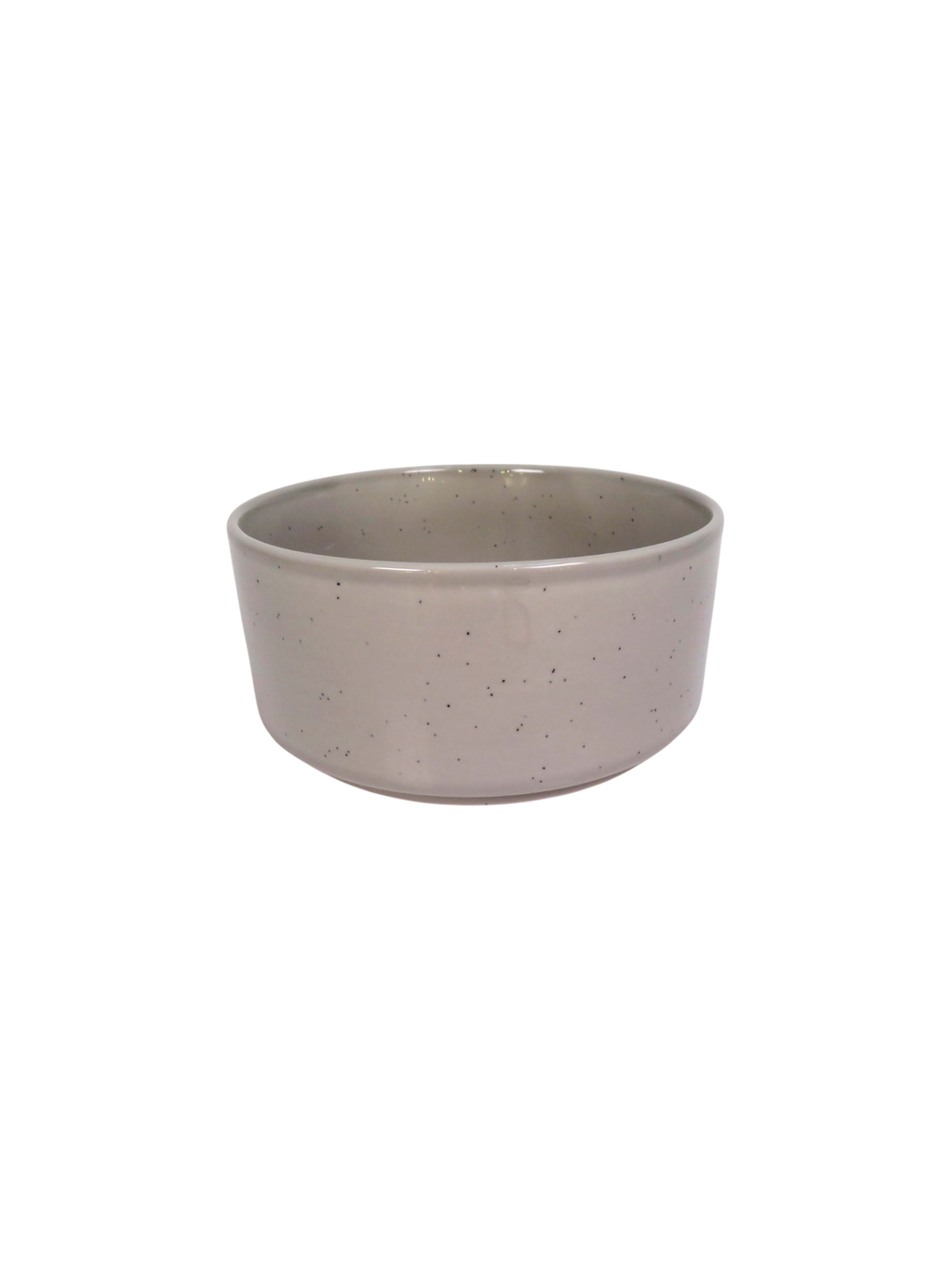 Reactive Glaze Speckle 4 Piece Dinner Set