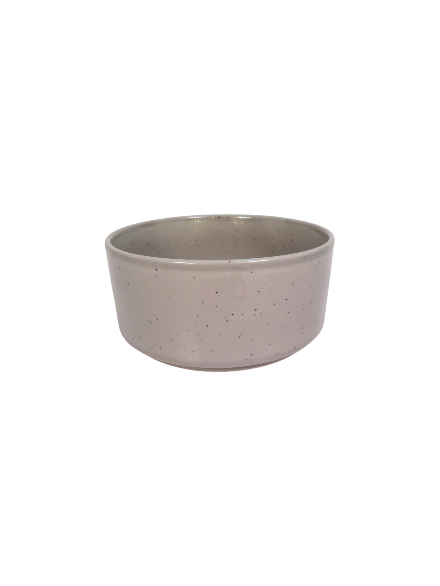 Reactive Glaze Speckle 4 Piece Dinner Set