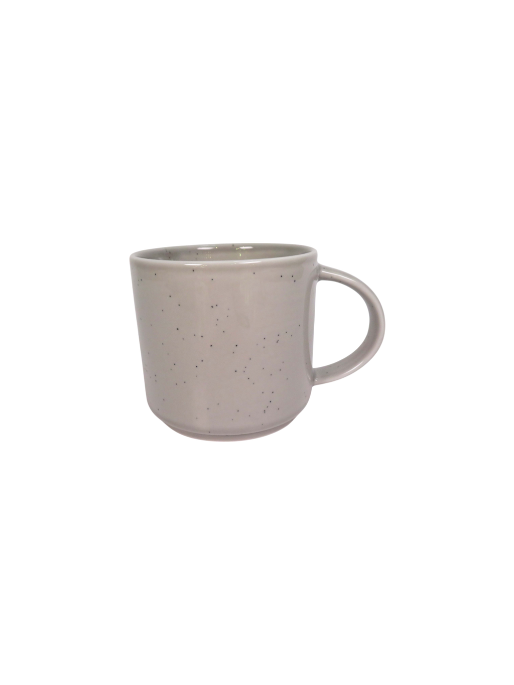 Reactive Glaze Speckle 4 Piece Dinner Set