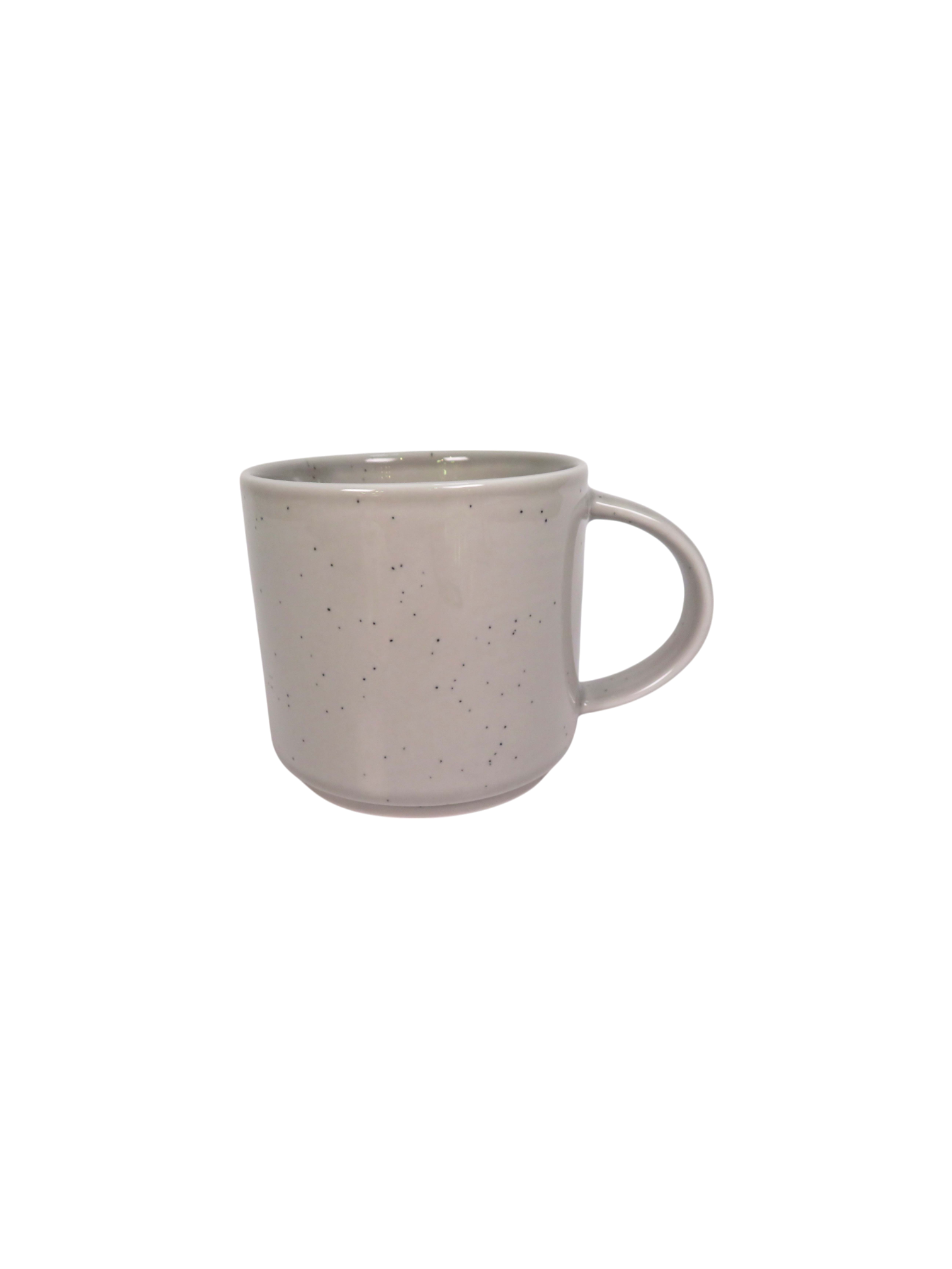 Reactive Glaze Speckle 4 Piece Dinner Set
