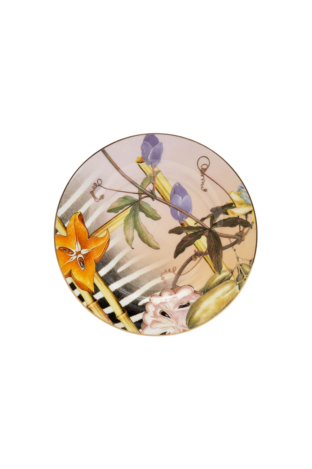 Natural Instinct Ceramic 4 Piece Dinner Set