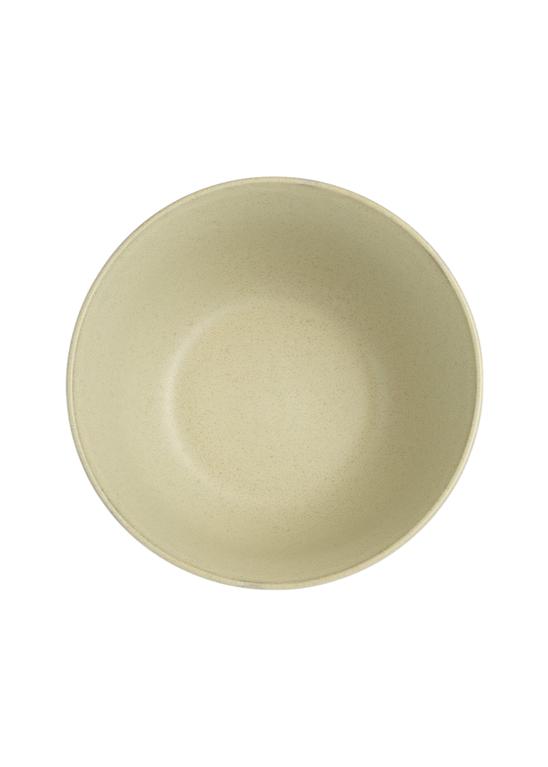 Reclaymed Stoneware Stipple Bowl
