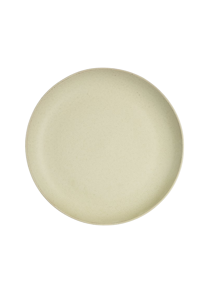 Reclaymed Stoneware Stipple Dinner Plate