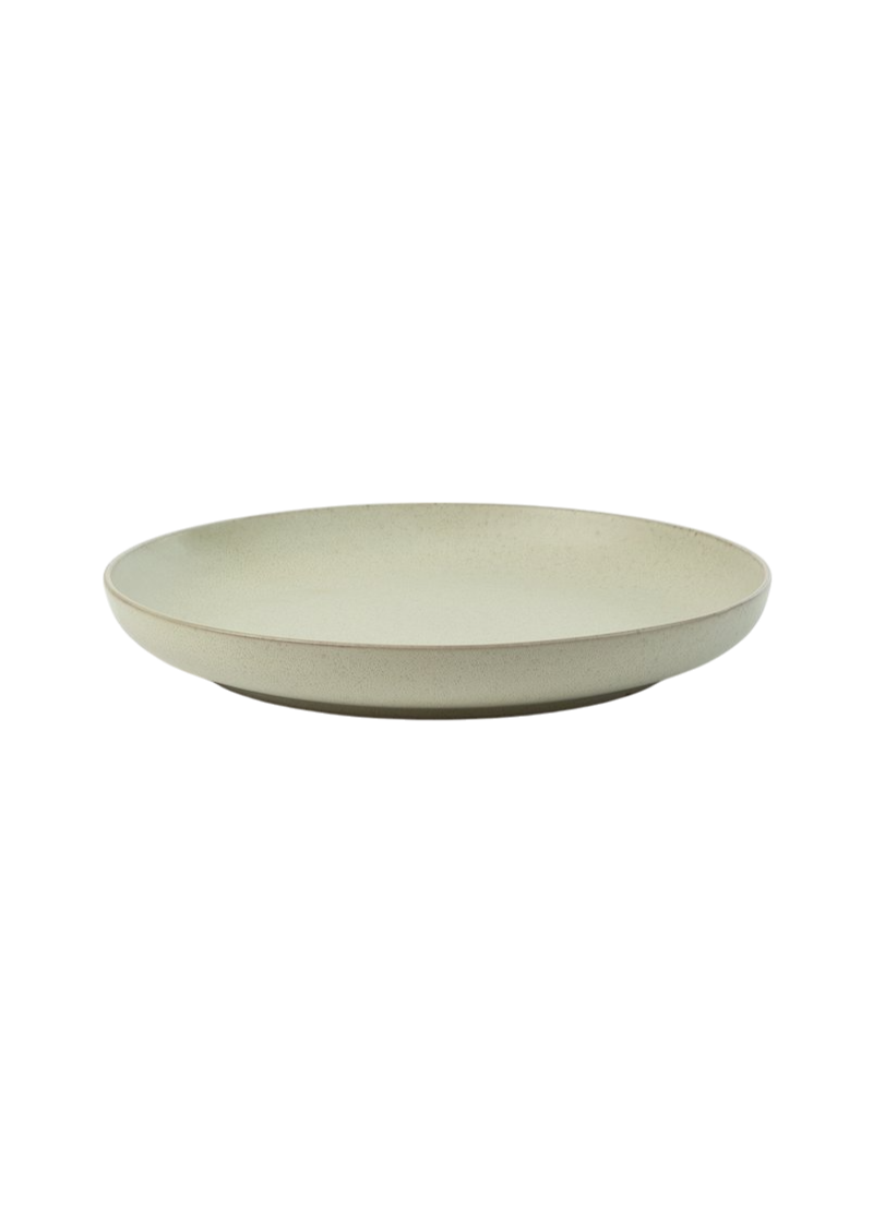 Reclaymed Stoneware Stipple Dinner Plate