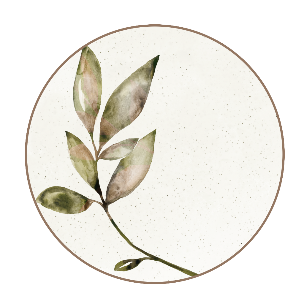 Magnolia Leaf Watercolour - Single Leaf