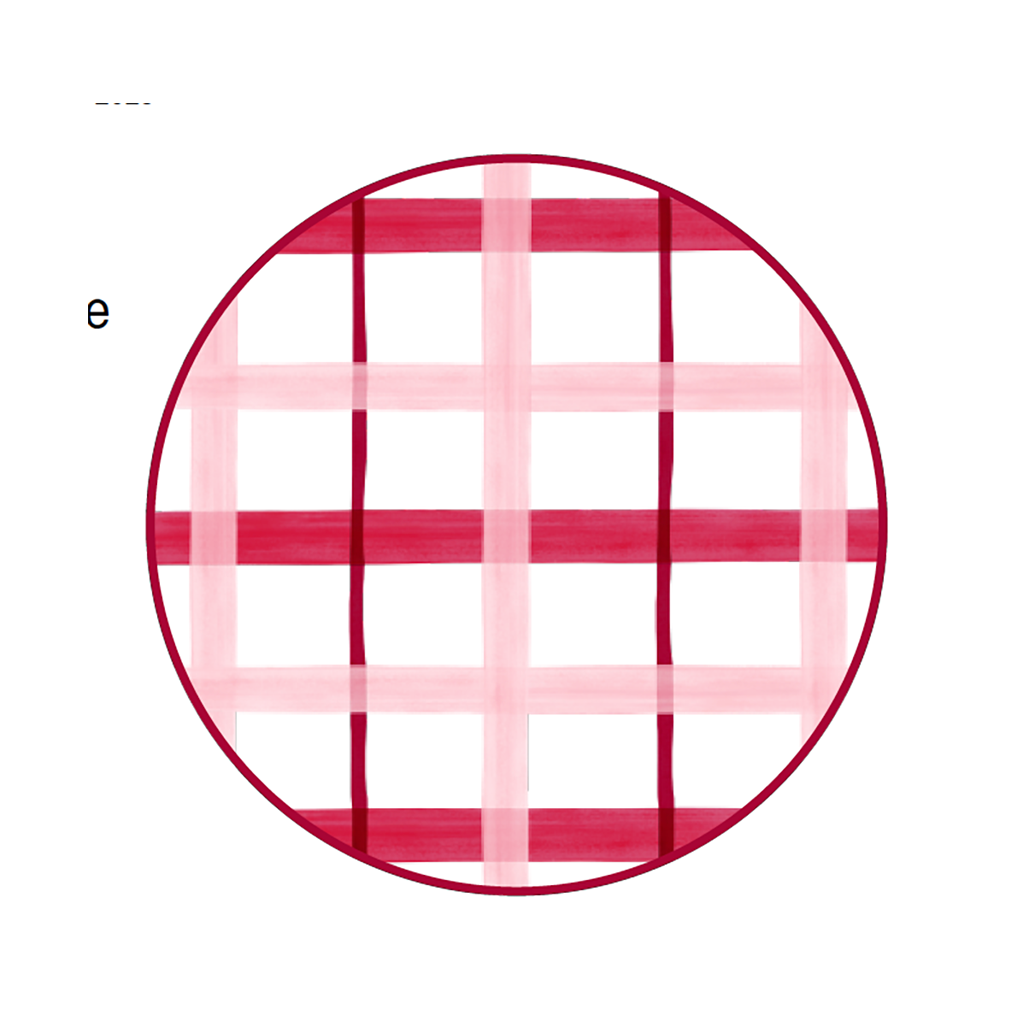Pretty Check Design 2